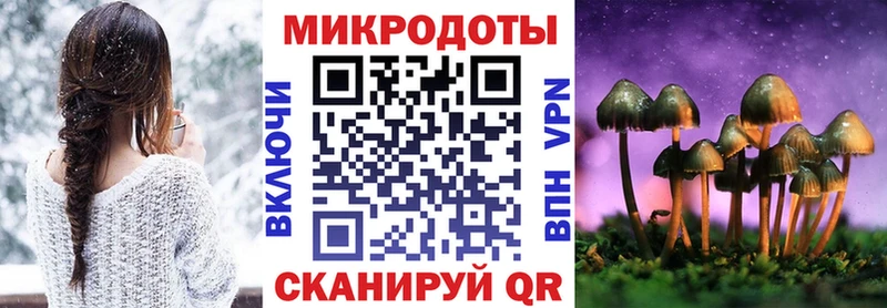 Псилоцибиновые грибы Psilocybine cubensis  где можно купить наркотик  мега зеркало  Красный Холм 